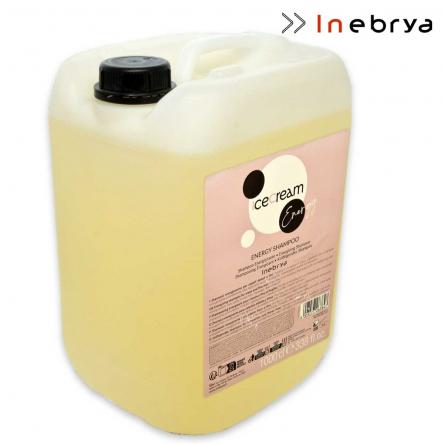 Inebrya energy shampoo 10 litri
